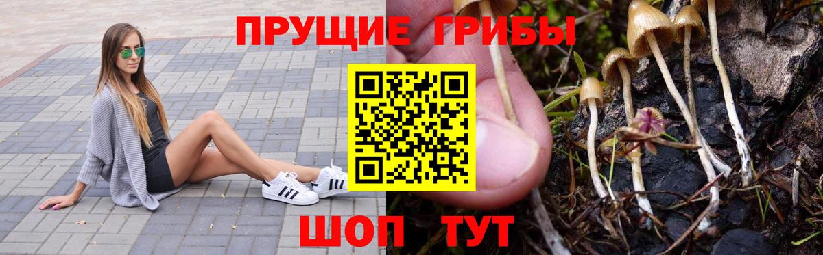Псилоцибиновые грибы MAGIC MUSHROOMS  Вход с VPN  Городец 